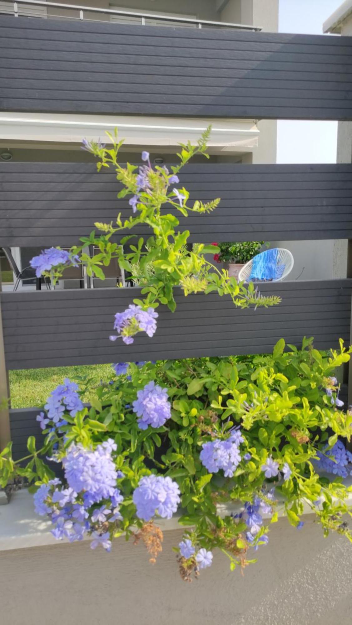 To Helidoni Apartment & Gardens 니키티 외부 사진